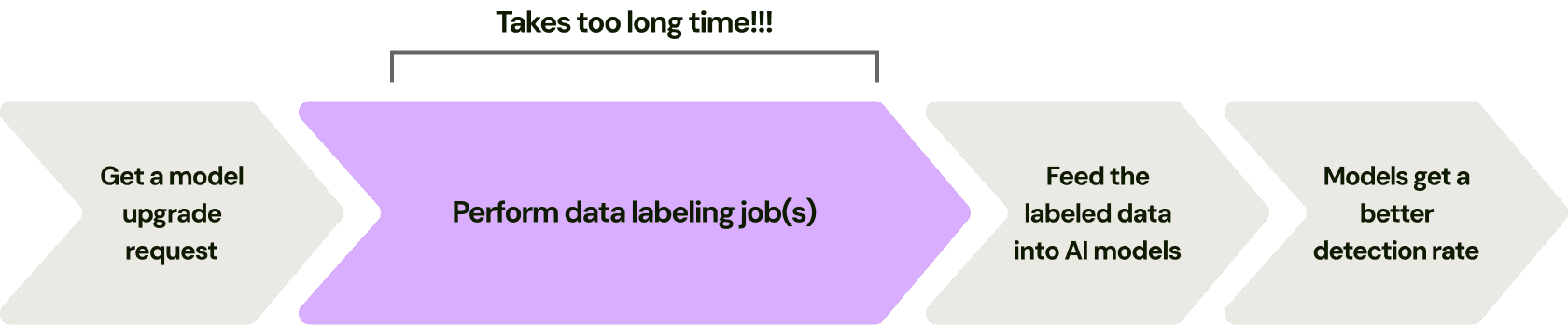 Quotes from data scientists about the slow labeling process